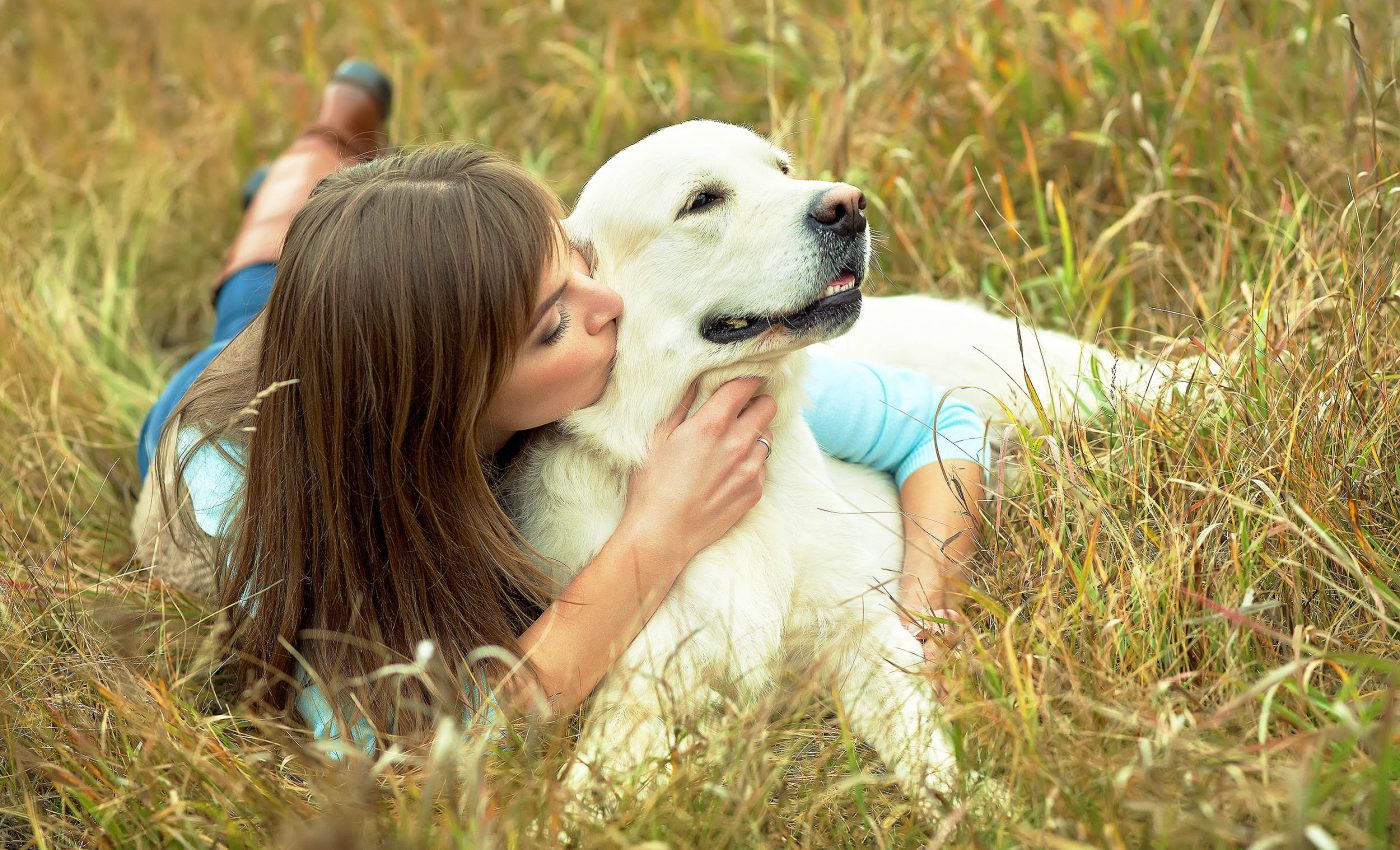 Petting a dog is the easiest way to reduce stress without medication