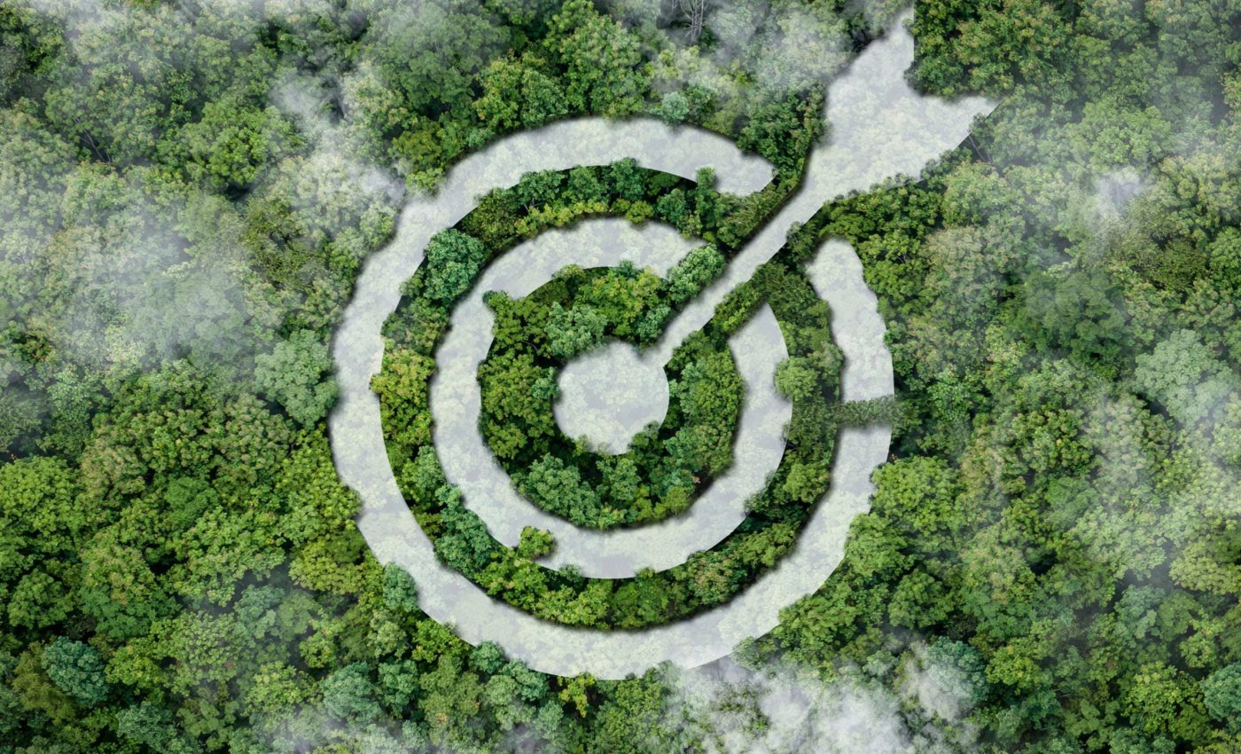 Wealthier nations set bold climate targets,  but citizens give less