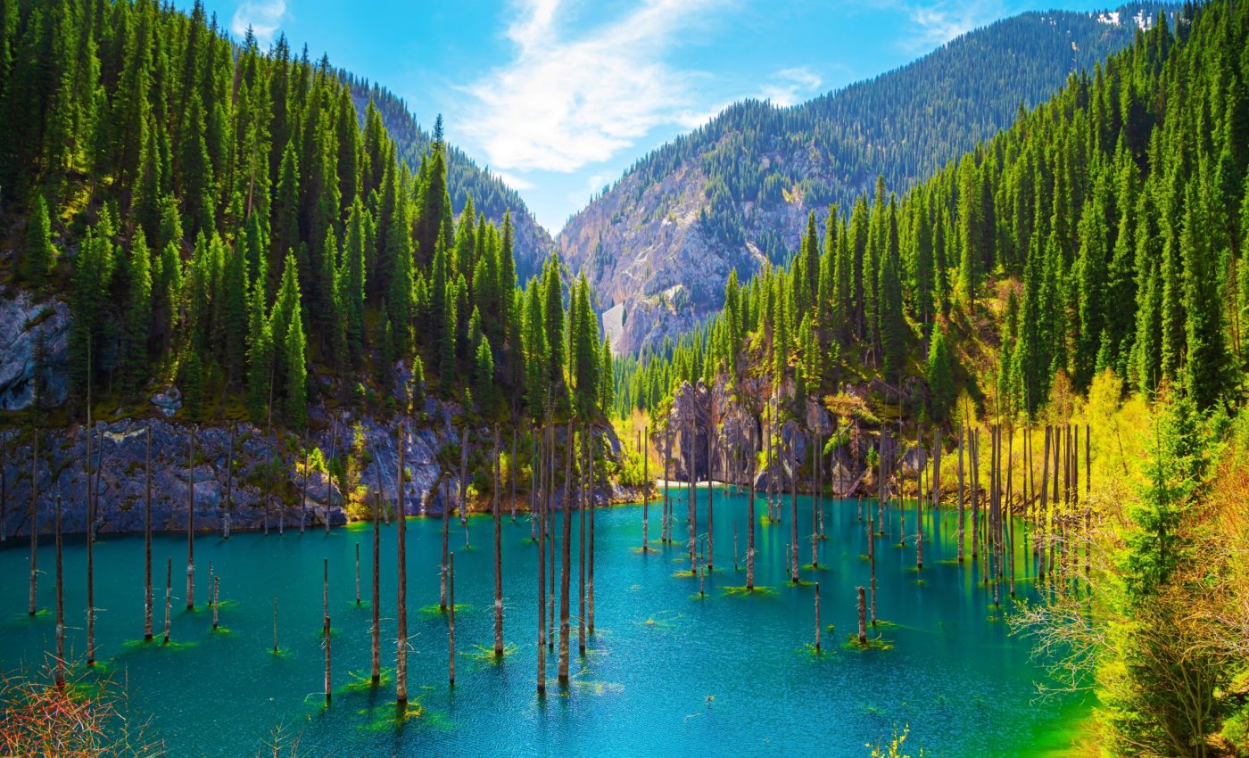 Nature’s grip on CO2 is slipping: What it means for us all