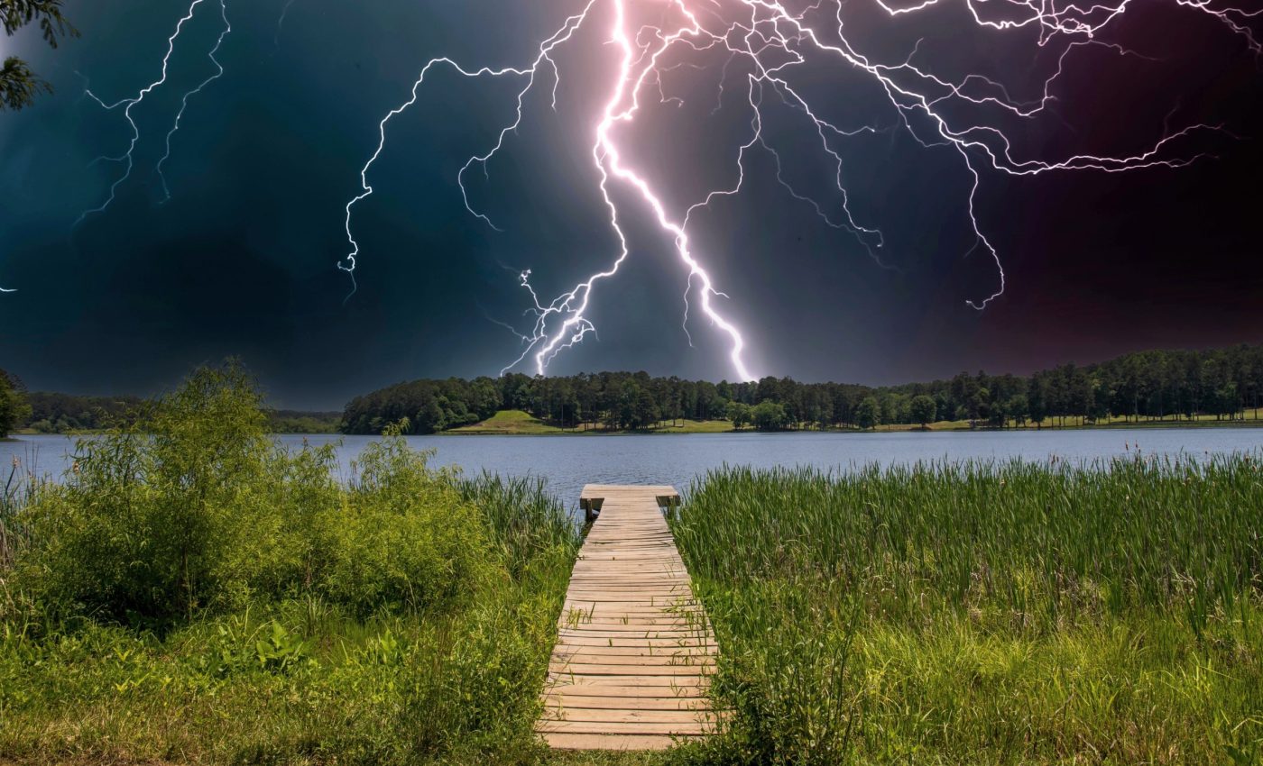 Some trees actually benefit from getting struck by lightning