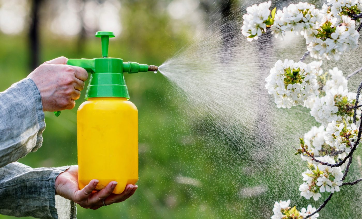 Insecticides may be helping weeds thrive