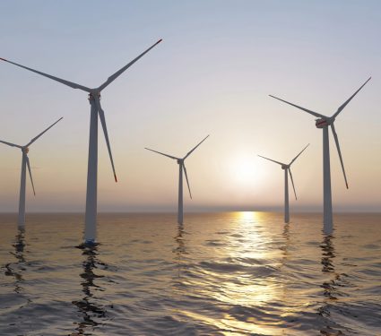 2025/04/Wind-farm-marine-life.jpg