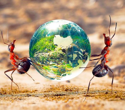 2025/04/ants_earth-population_total-number_1m.jpg