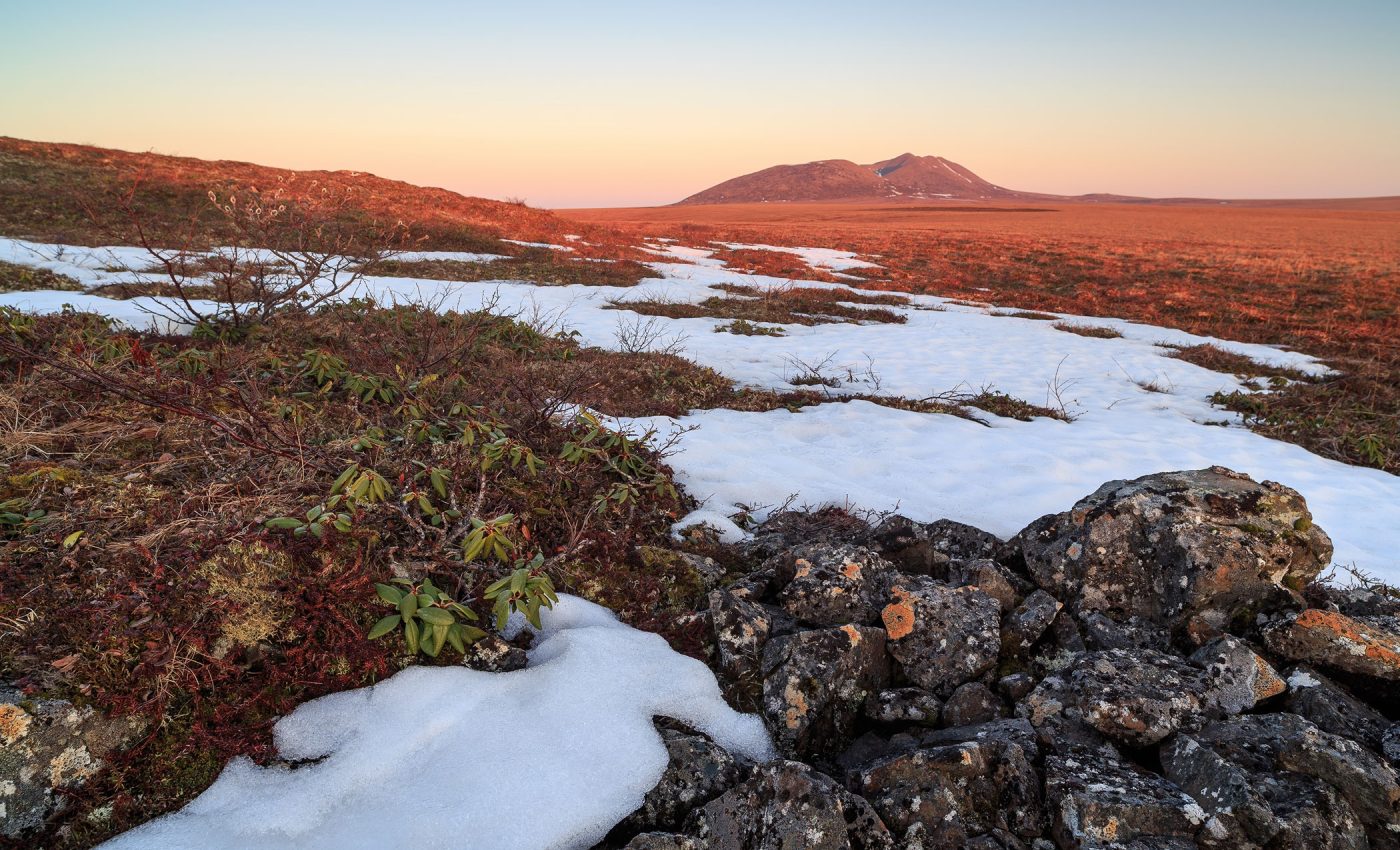 Arctic warming may fuel the spread of diseases by unleashing long-frozen viruses