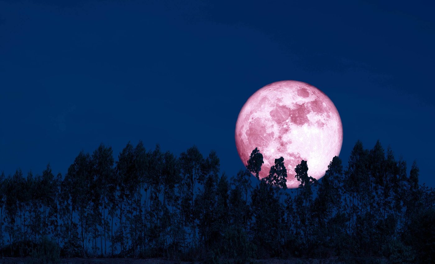 What is a pink micromoon? You'll find out tonight