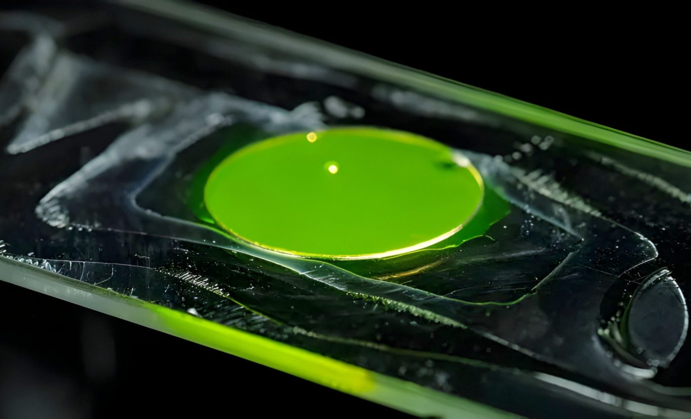 Bacteria used to create 'living lenses' that can see inside cells