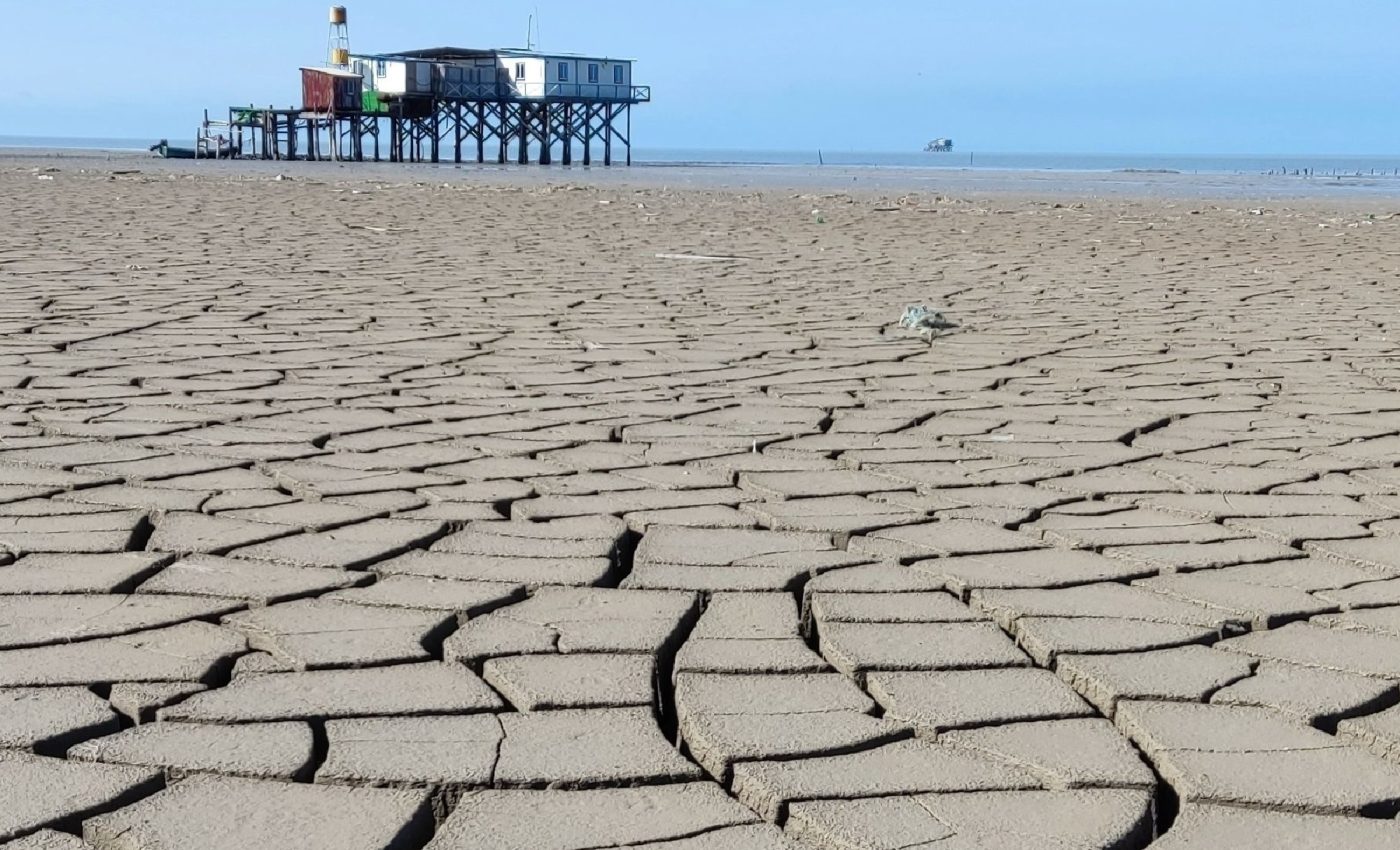 Caspian Sea decline threatens wildlife, human health, and industry