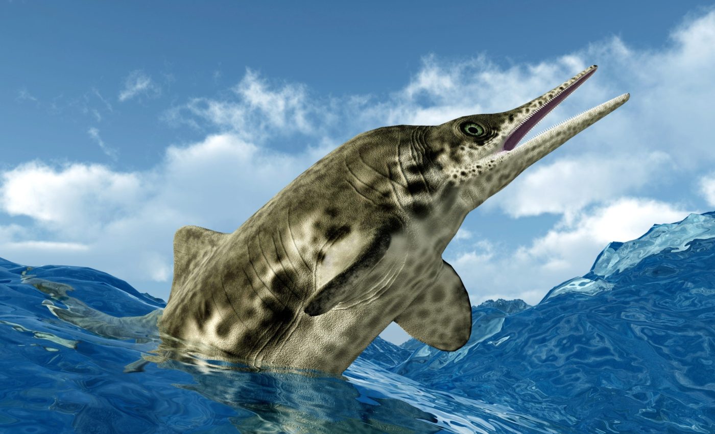 'Fiona' the ichthyosaur was preserved for millions of years after a landslide