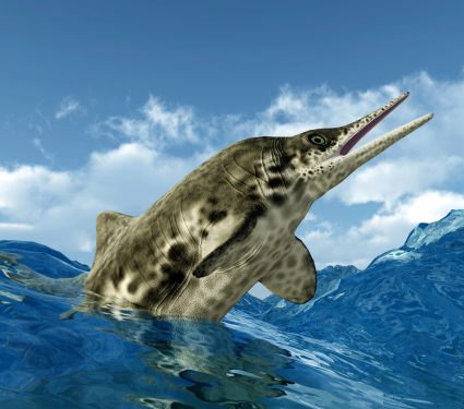 2025/04/Fiona-ichthyosaur.jpg