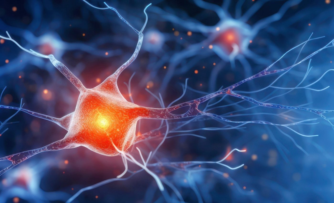 How the brain learns: Study reveals an unexpected twist