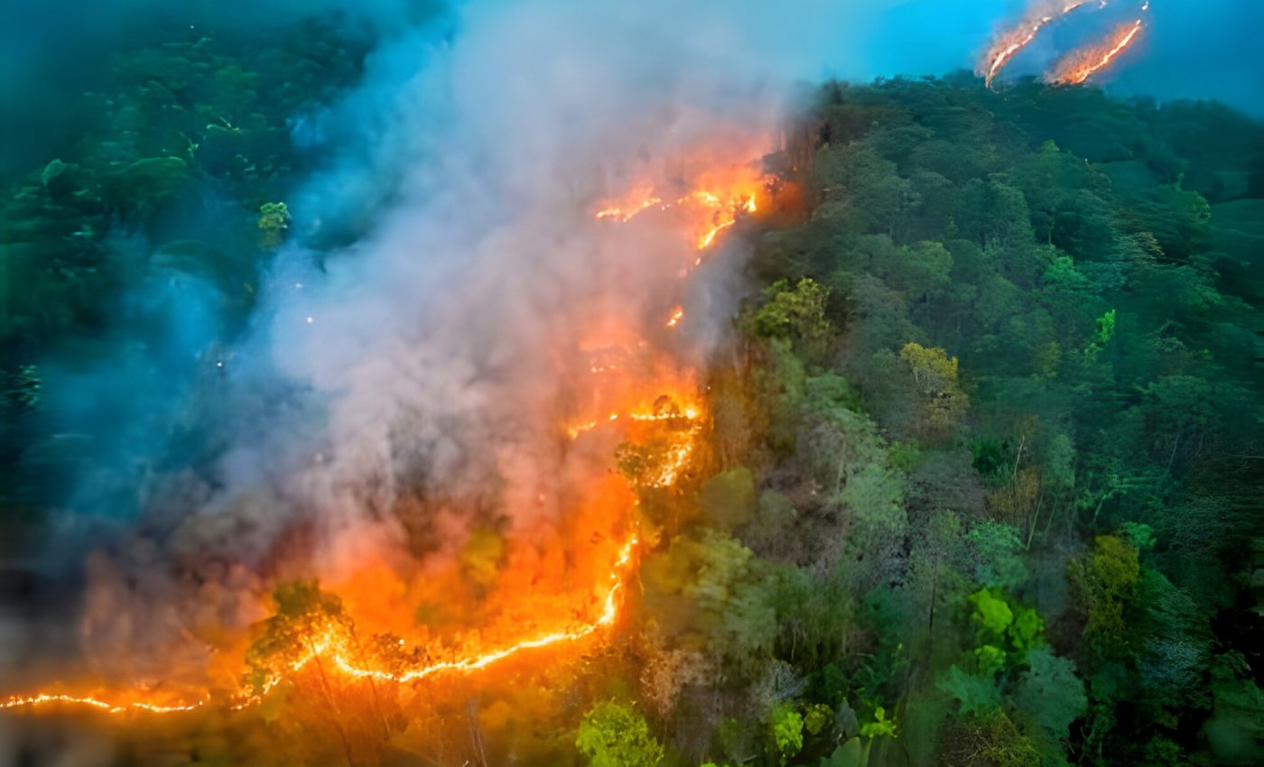 Climate apathy: People are adjusting to global warming too quickly