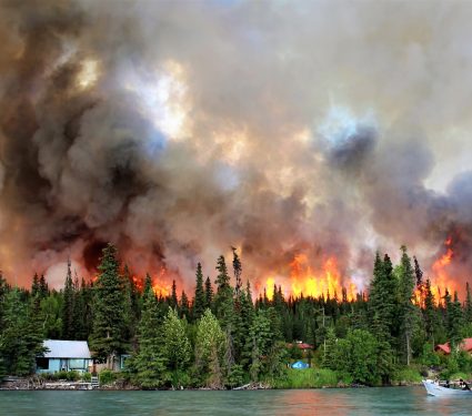 2025/04/Overlapping-wildfire-seasons.jpg