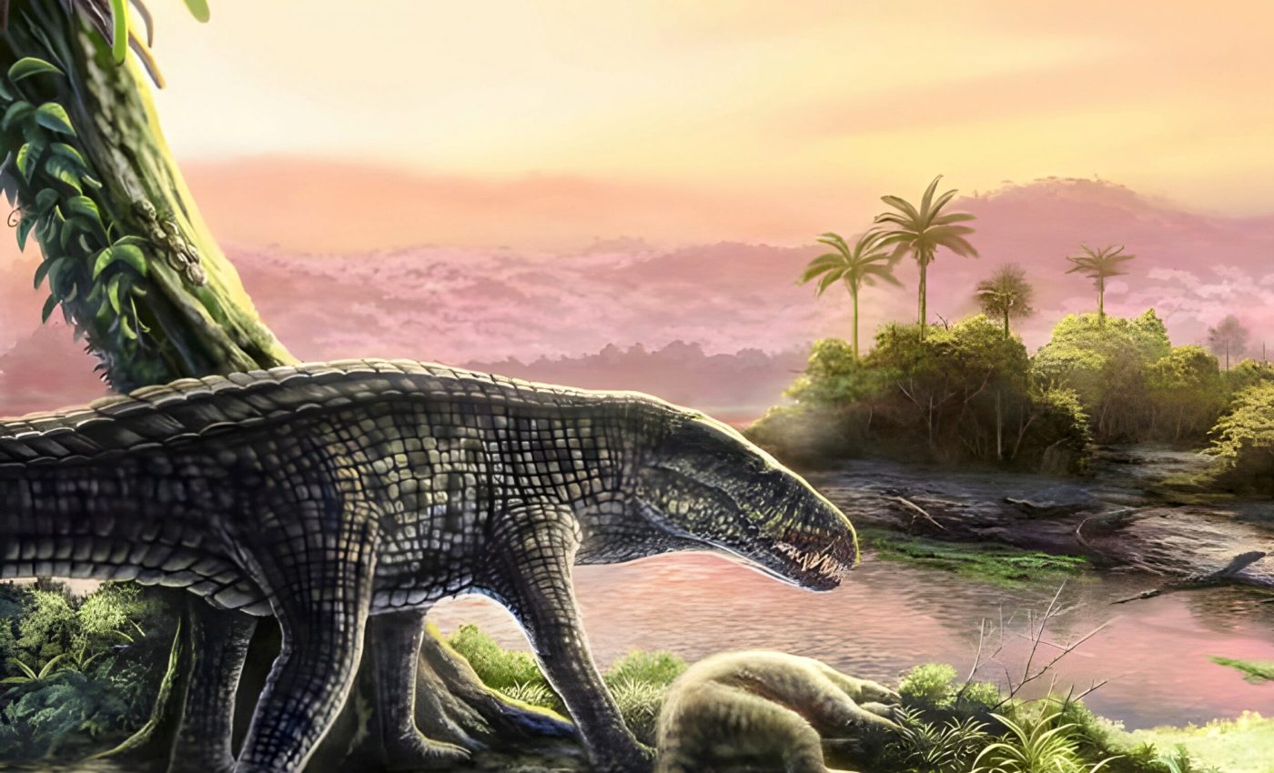 Giant crocodile in the Caribbean? Fossils reveal a lost apex predator