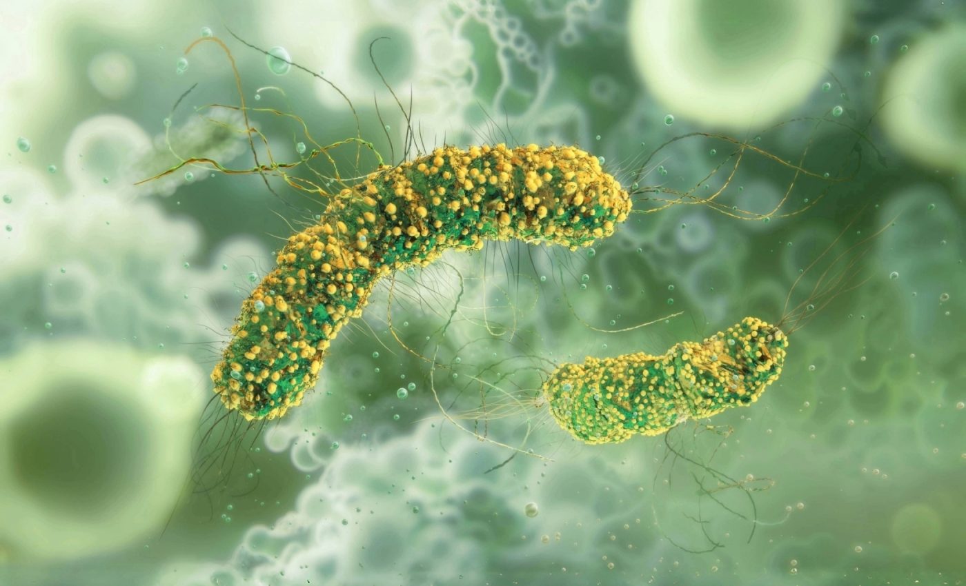 Bacteria recreate an ancient war trick to defeat viruses