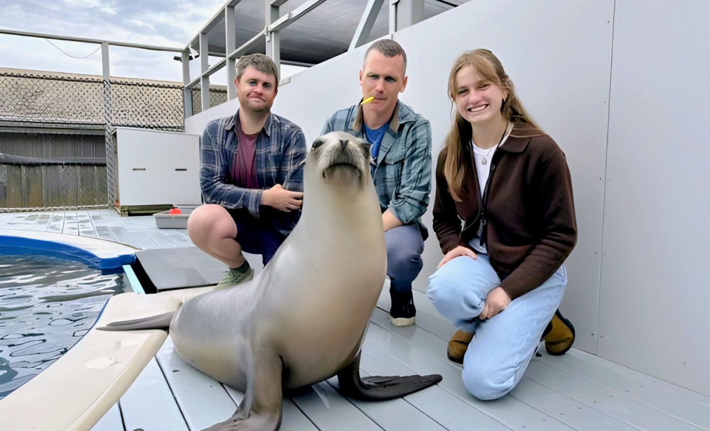 Can animals feel the beat? Ronan the sea lion might just prove it