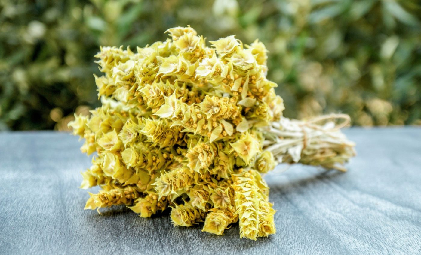 Mountain greening threatens genetic diversity of iconic plants