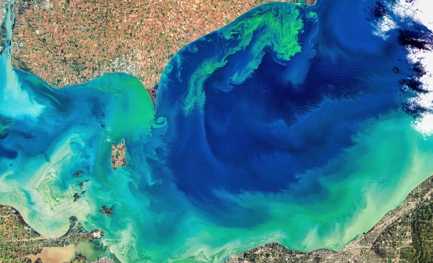 Green algae in Lake Erie may be hiding toxic, deadly compounds