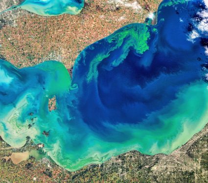 2025/05/Lake-Erie-toxic.jpg