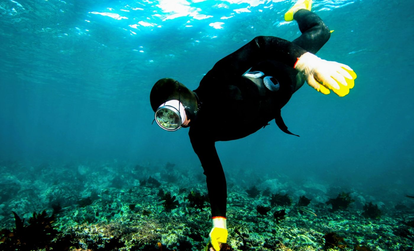 Legendary divers in Korea have inherited 'superhuman' genes