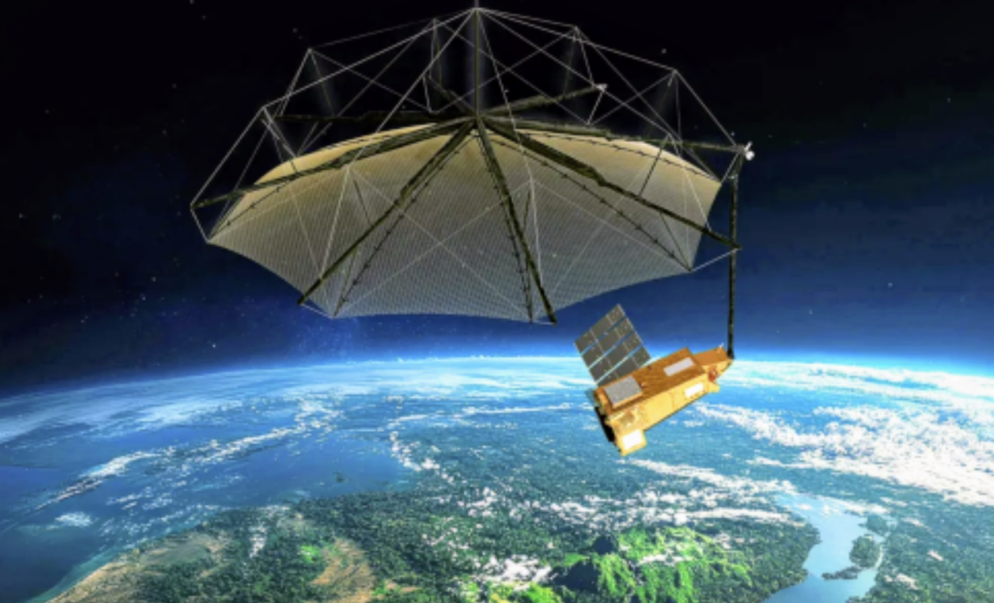 Satellite view of forest biomass reveals hidden carbon trends