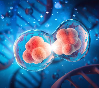 Human,Cell,Division,Under,A,Microscope.,Cellular,Therapy.,3d,Illustration