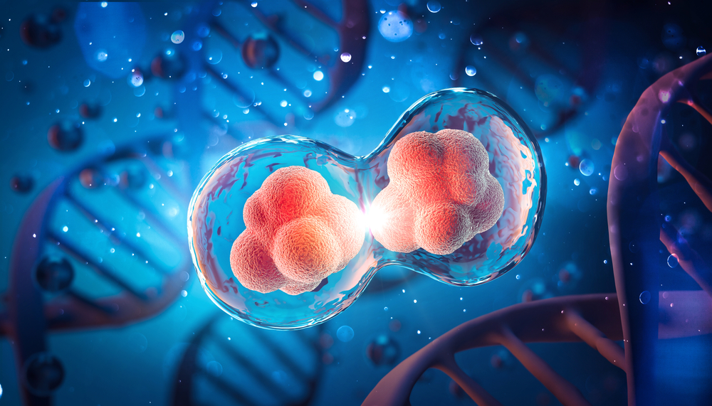 Cell division discovery challenges a century of textbook biology