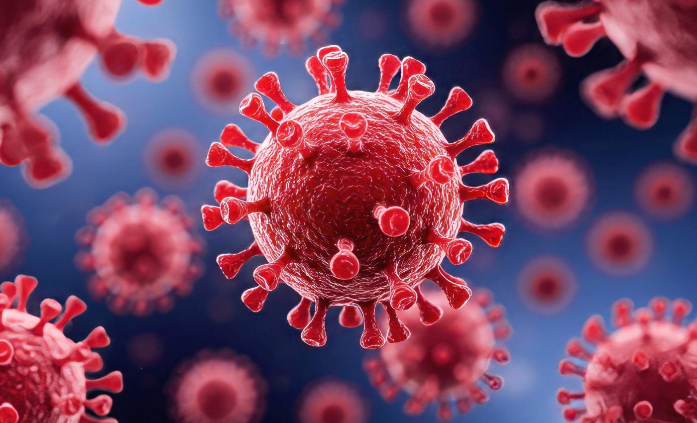 COVID virus spread too quickly for bats alone to be responsible