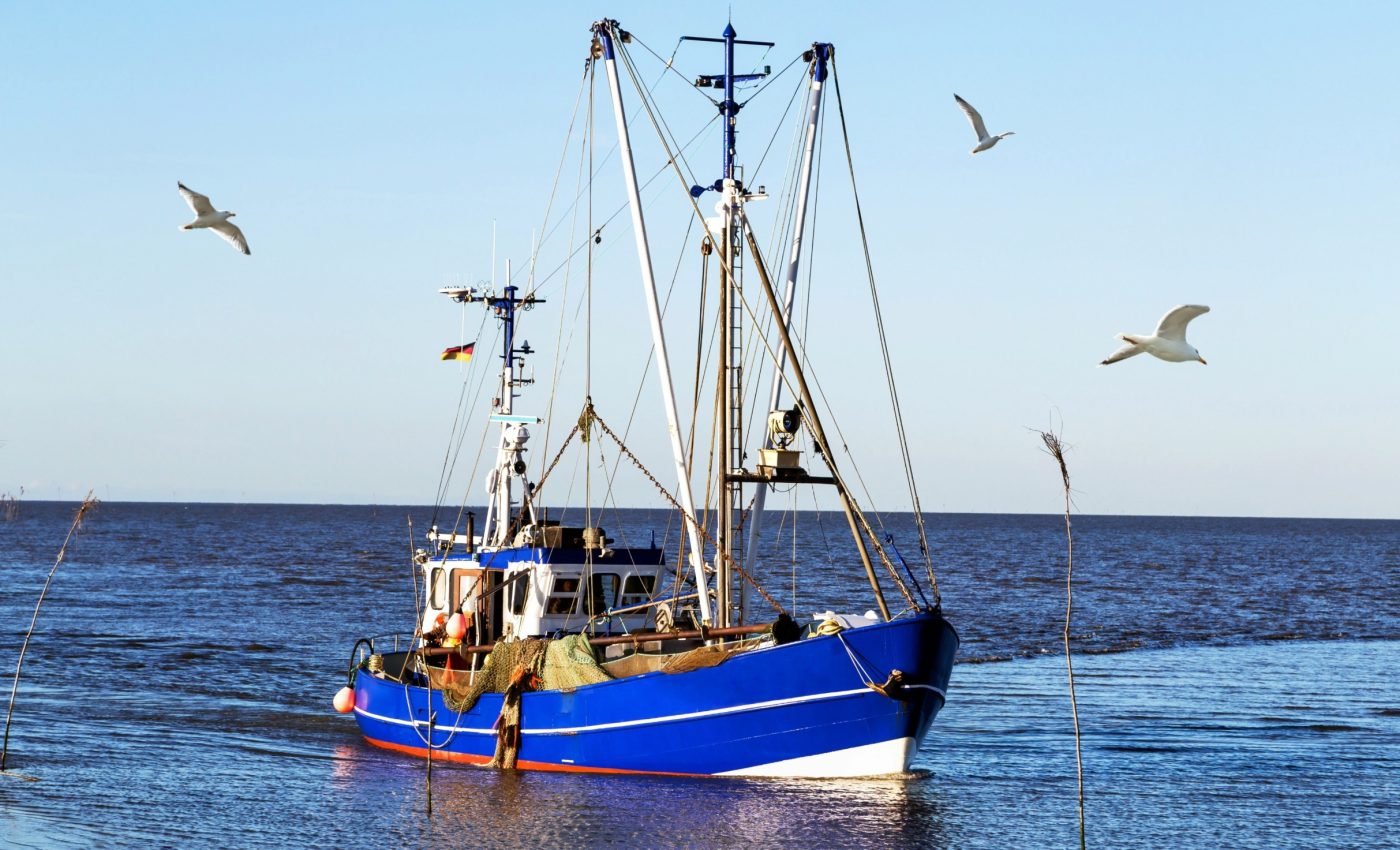 Simple lights help fishers catch more shrimp with less damage