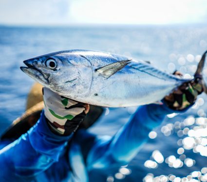 2025/05/Tuna-fishing-gear.jpg