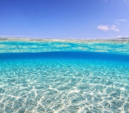 Underwater,Sea,Level,Split,Photo,Of,Beautiful,Paradise,Turquoise,Exotic