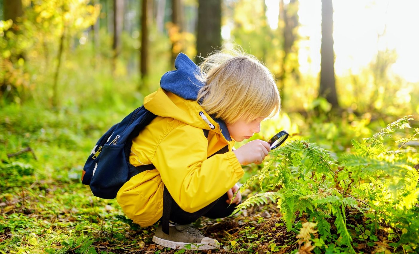 Human pressure has a hidden impact on plant diversity