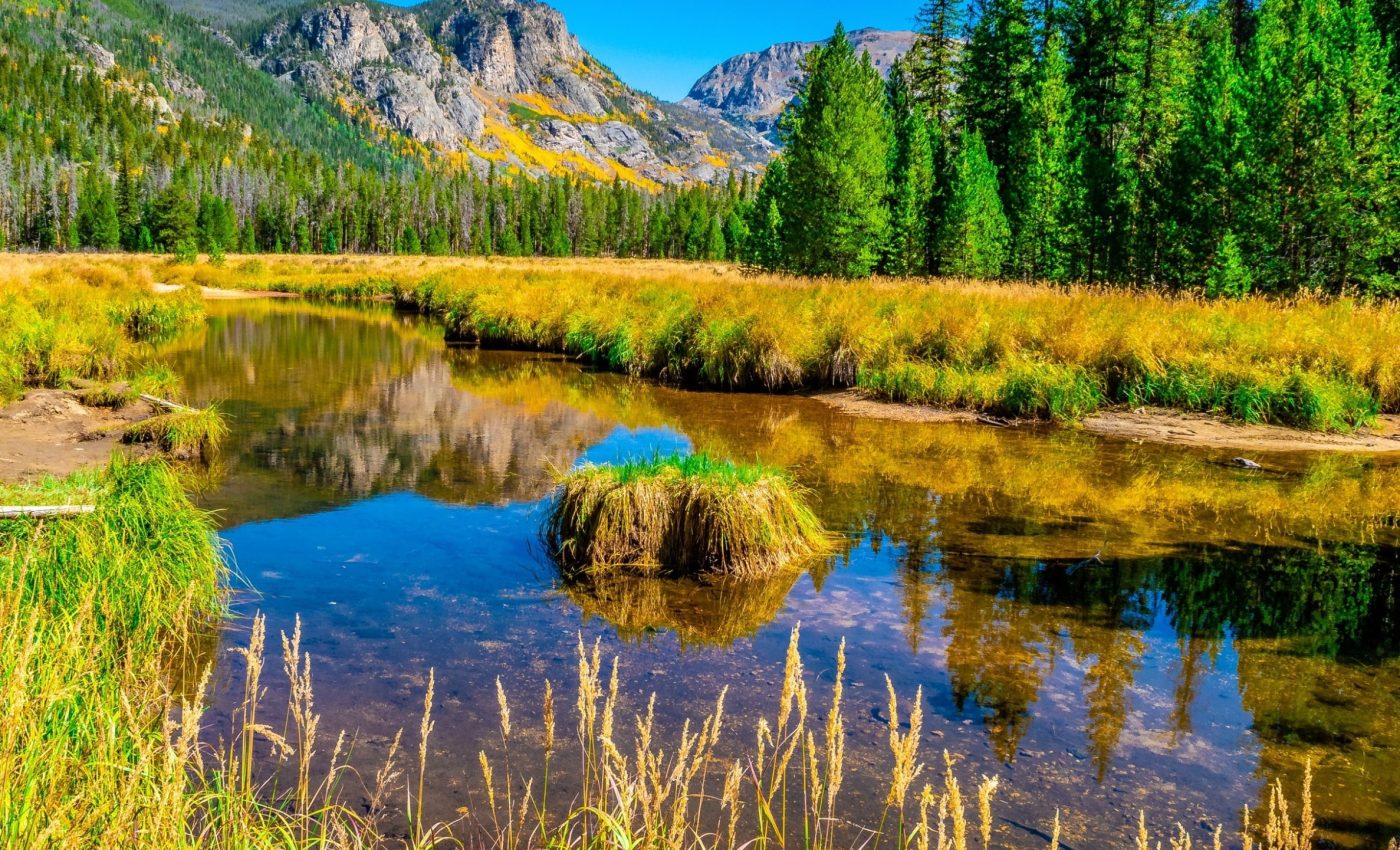 Mountain wetlands are turning into mercury hotspots