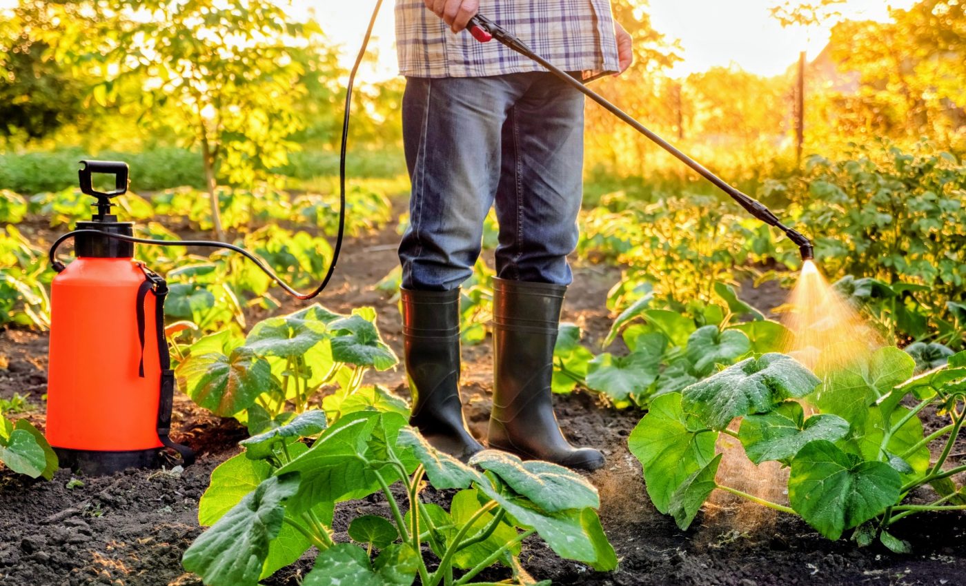 Future of food safety: AI can detect contamination early