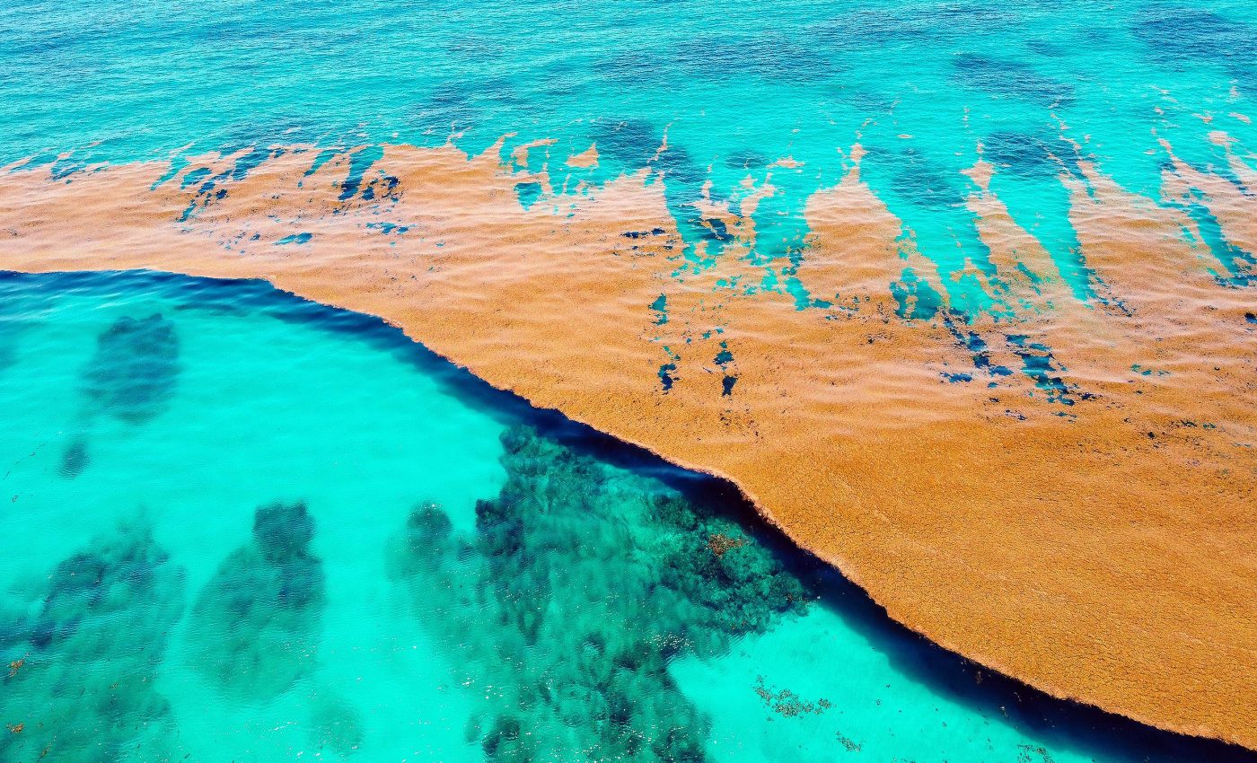 Earth has one sea that touches no land, because it has no shore