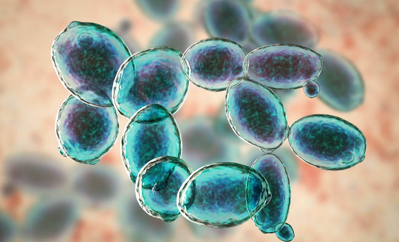 Yeast evolution reveals limits to surviving climate change