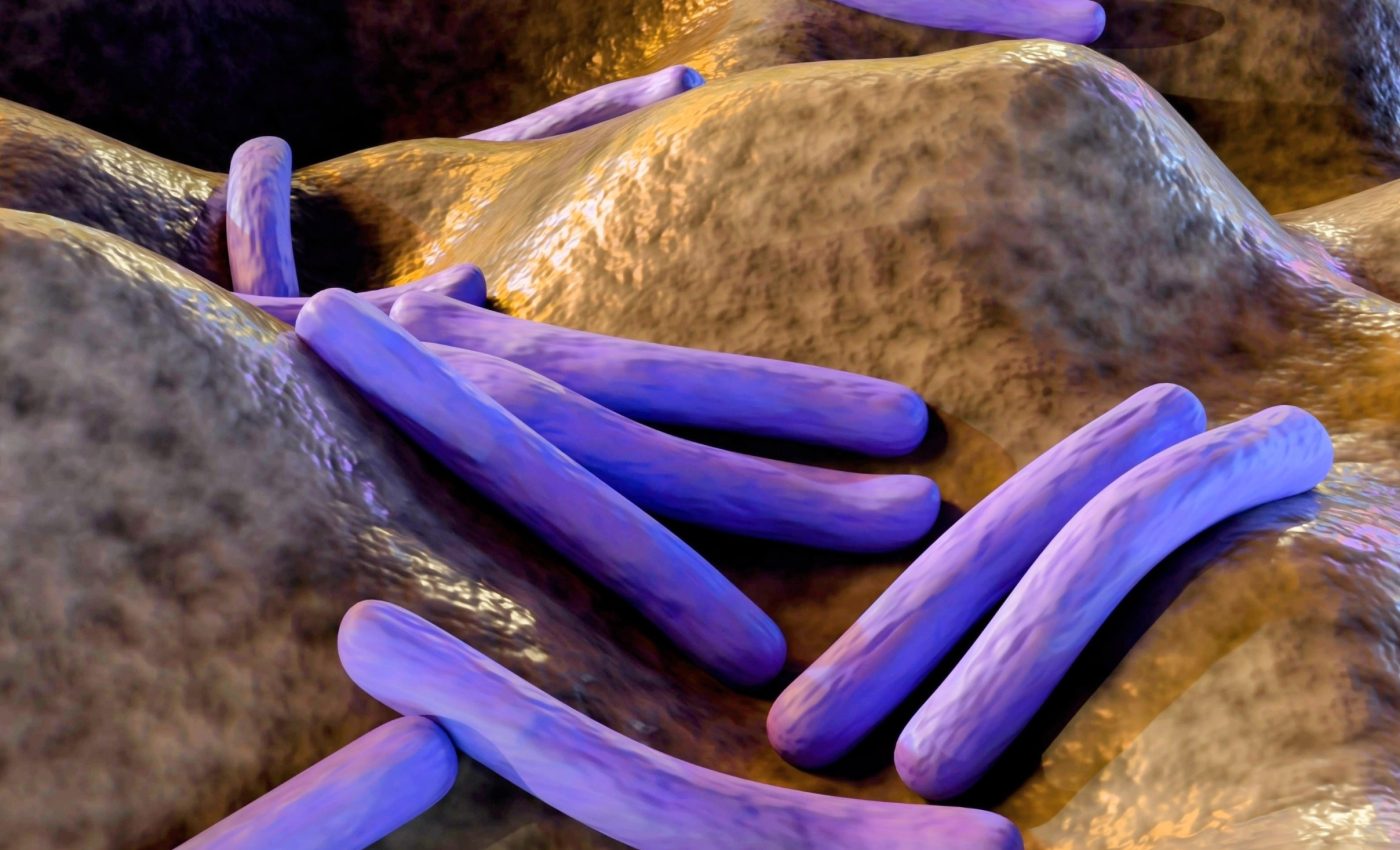 Leprosy was in the Americas long before European settlers arrived