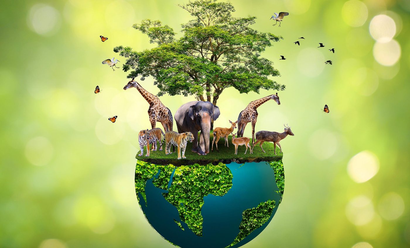 Scientists discover one simple rule that explains all life on Earth