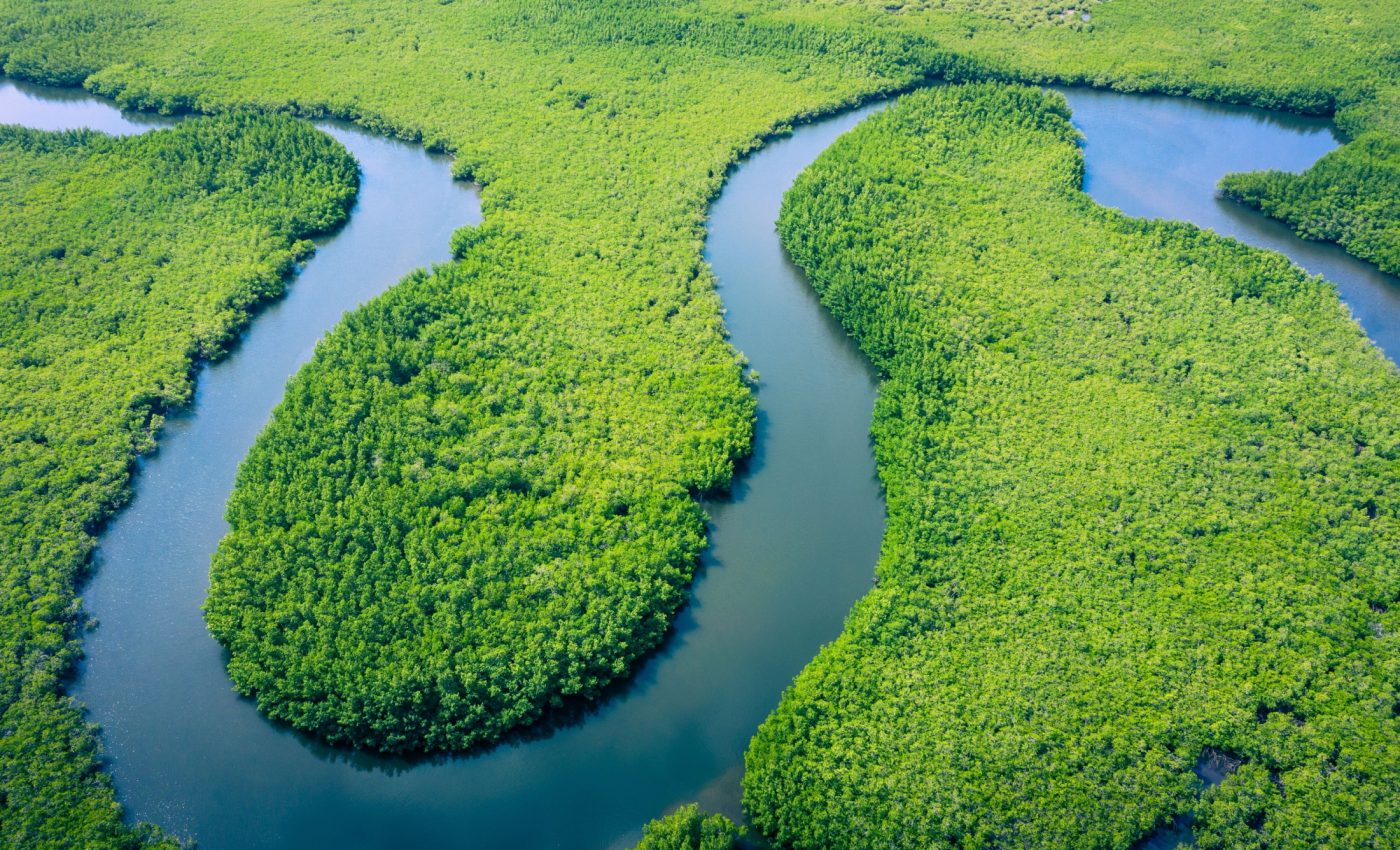 Rivers are releasing a massive amount of carbon dioxide into the air