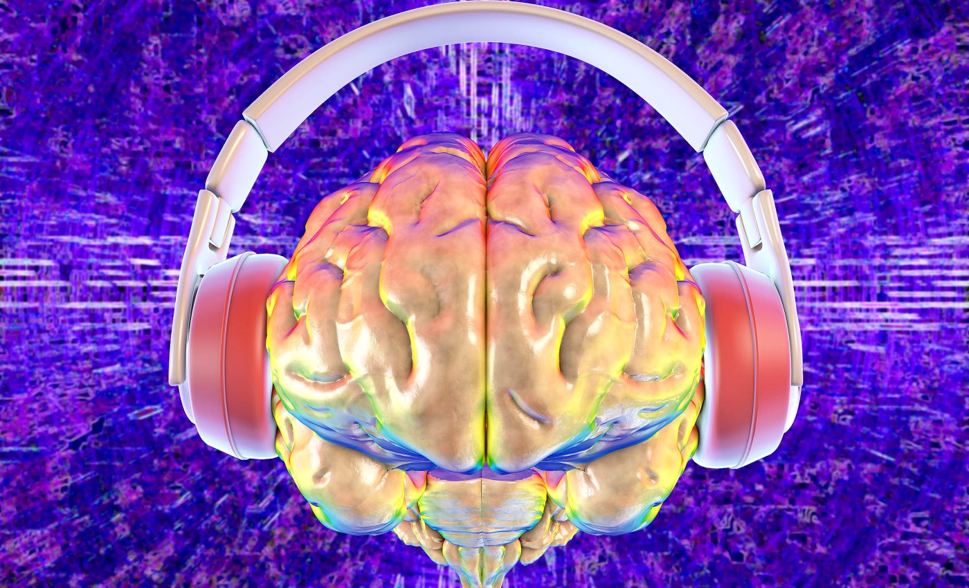 Music and repeated sounds reorganize brain networks in real-time
