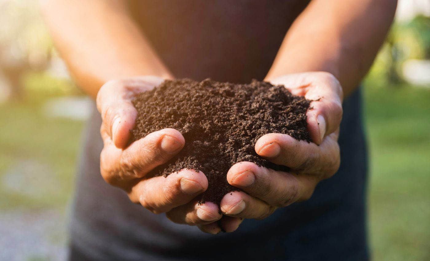 Climate change is fueling antibiotic resistance in our soils