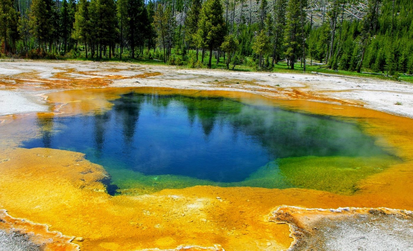 Biofilms could change the way we track plastic pollution