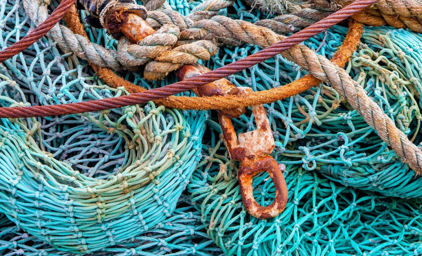 Seamounts face severe destruction from bottom trawling