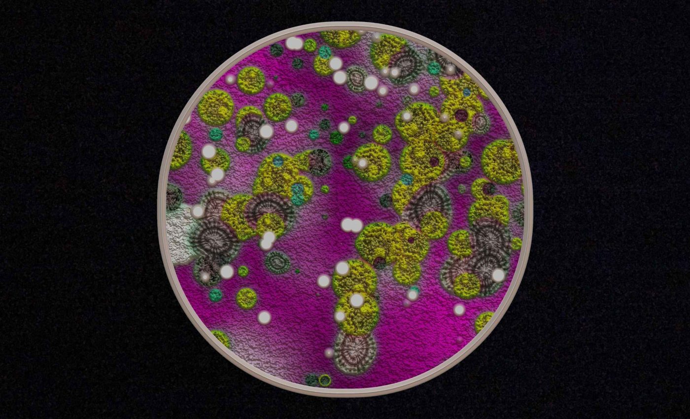 Gold-eating fungus discovery could revolutionize the search for metals and minerals on Earth, asteroids, and other planets