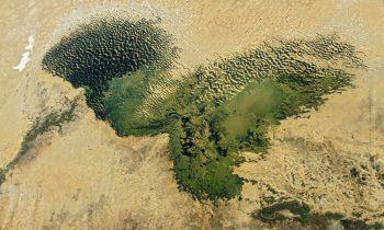 2025/06/Lake-Chad.jpg