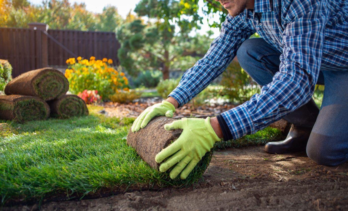 Your lawn plays a key role in absorbing urban carbon emissions