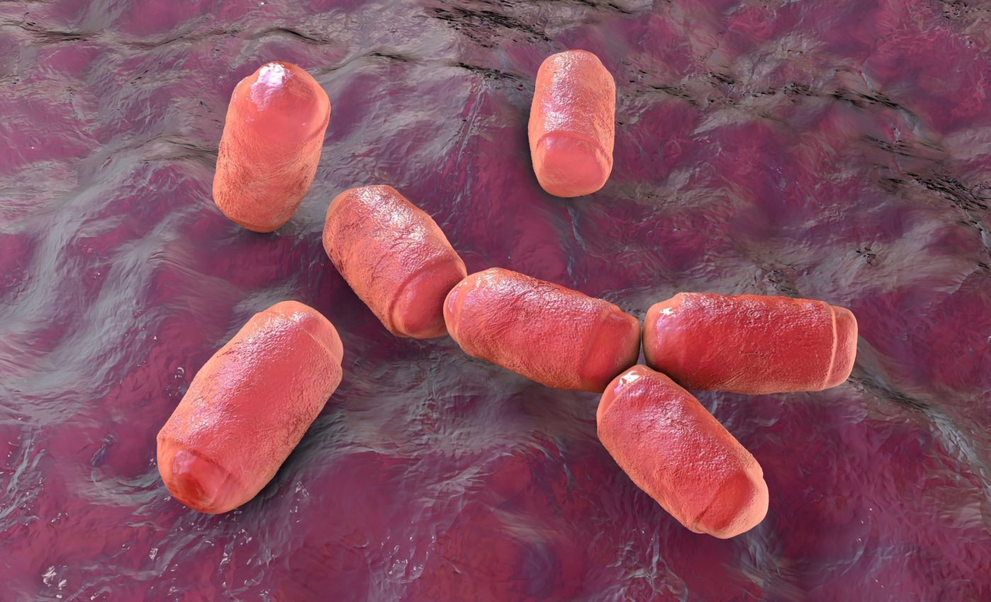 What methane in your gut says about your diet