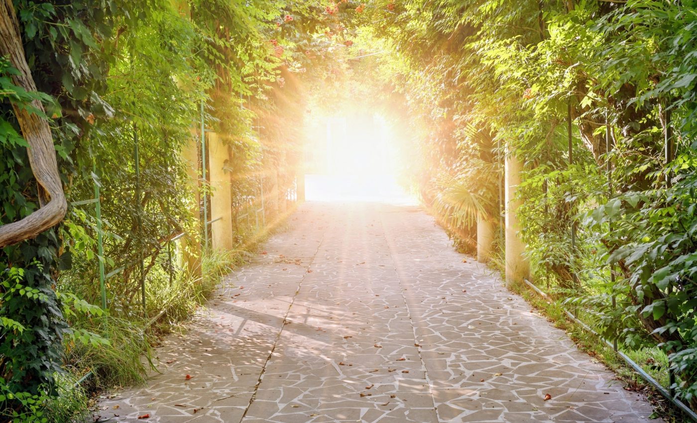 Religious leaders of all faiths ate 'magic mushrooms' in a scientific study, and it changed their lives