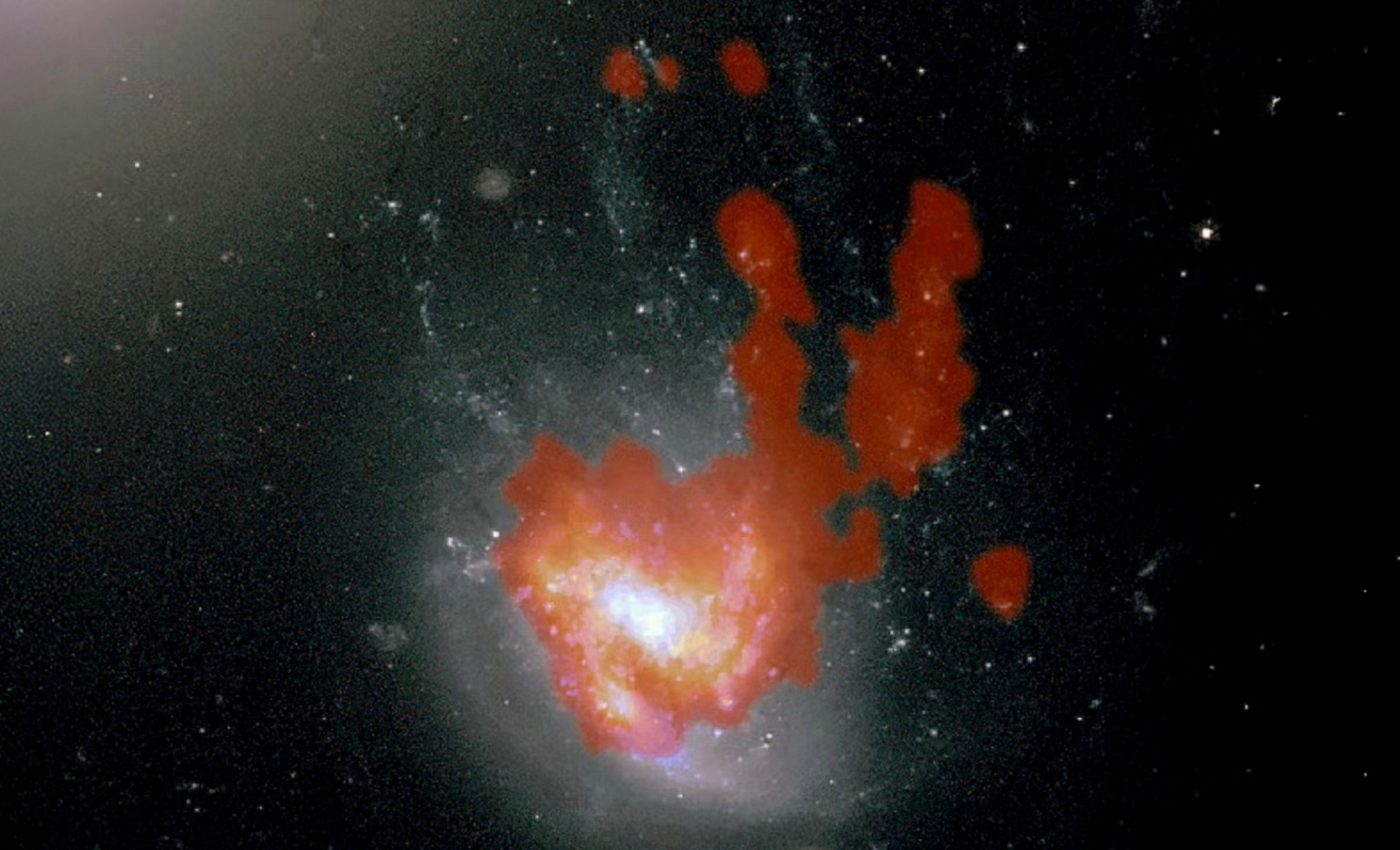Jellyfish galaxy grew ‘bunny ears’ while battling galactic wind