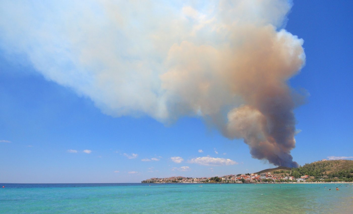 Forest fire smoke boosts ocean life - but with a hidden cost