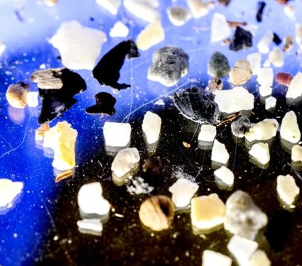 2025/06/microplastics.jpg